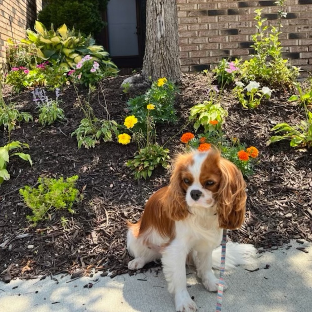 Meet your Posher, Kristen